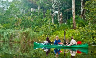 Durban Nature Tour