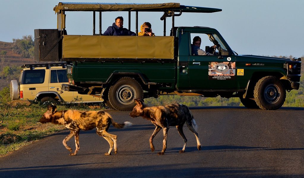 Hluhluwe-Game Reserve Tour4jpg