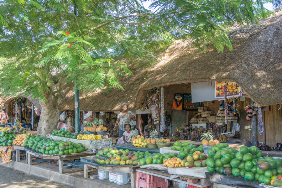 St Lucia Wetland Tour4